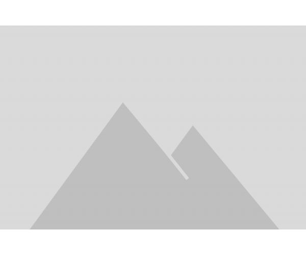 Secret Messenger Collection Reed...